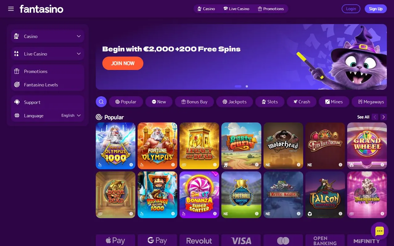 Kader 1: homepage / hero van het casino